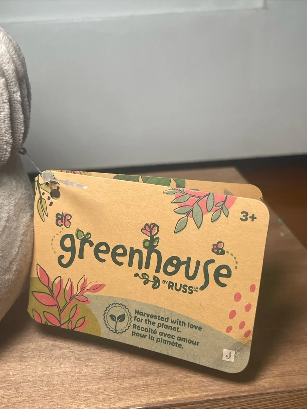 Greenhouse by Russ Money Tree Planter - Soft Green and Brown Cozy Décor